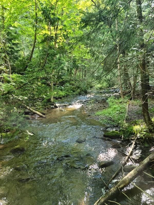 Conservation Lands - Image 2
