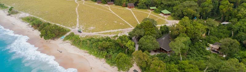 Gabon Wildlife Camps & Safaris - Image 1