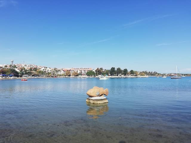 Balık - Image 1