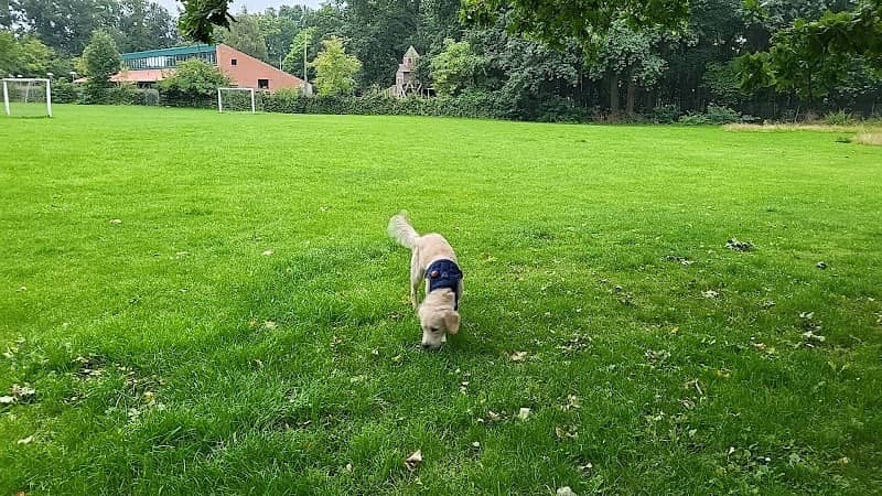 Gemmas Allé's friløbsområde for hunde - Image 2