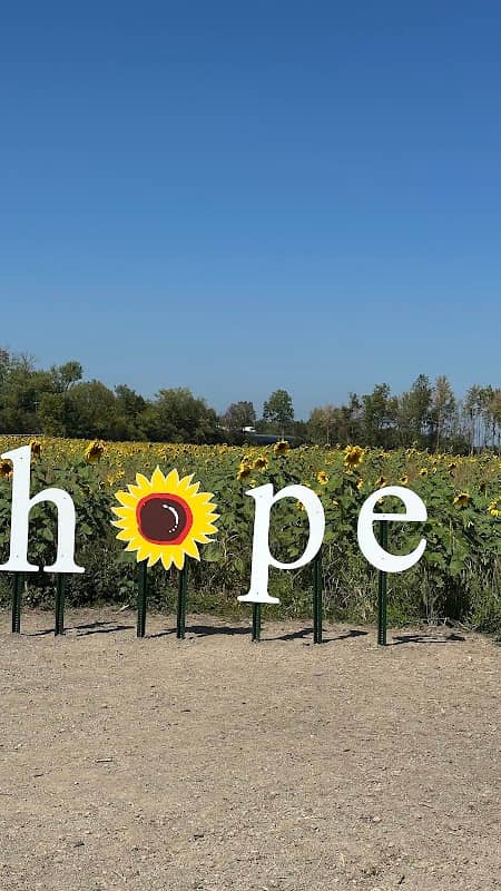 Maria’s Field of Hope parking - Image 2