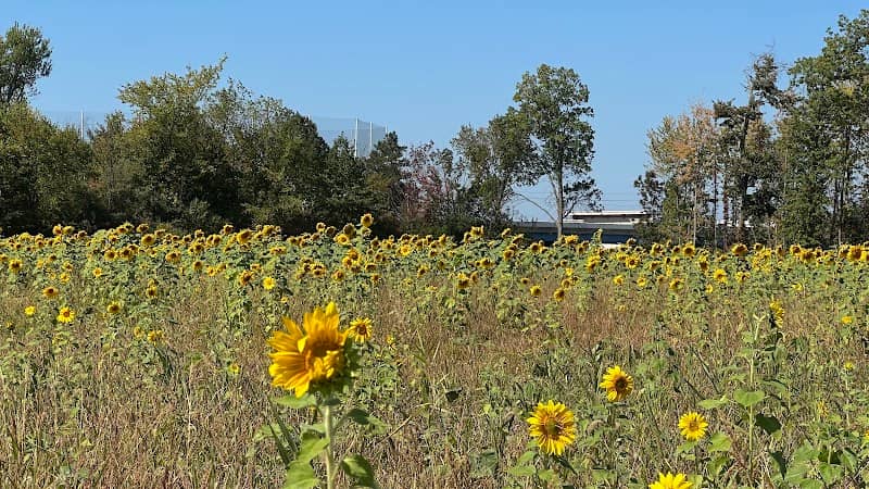 Maria’s Field of Hope parking - Image 1