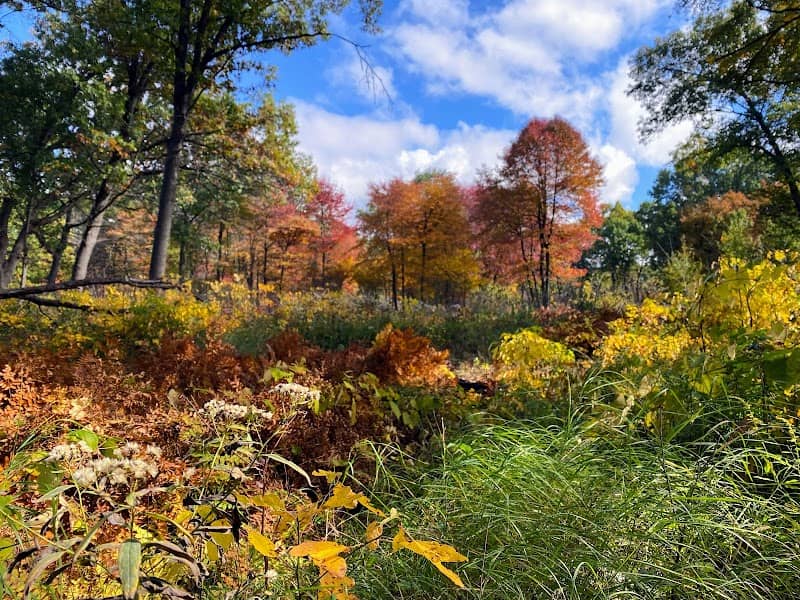 John Merle Coulter Nature Preserve - Image 3