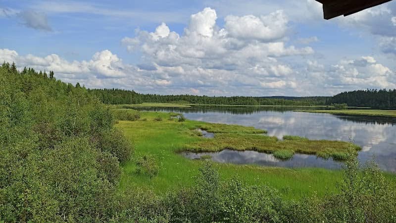 Observation tower - Image 1