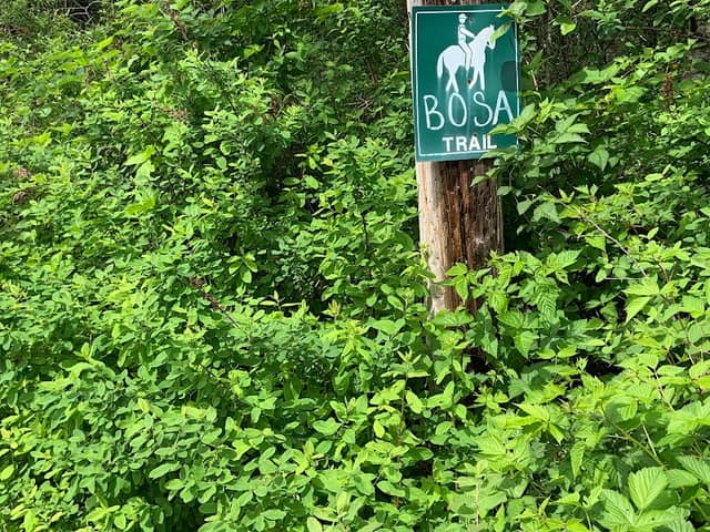 Bosa Trail - Image 1