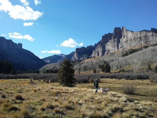West Elk Wilderness - Image 1