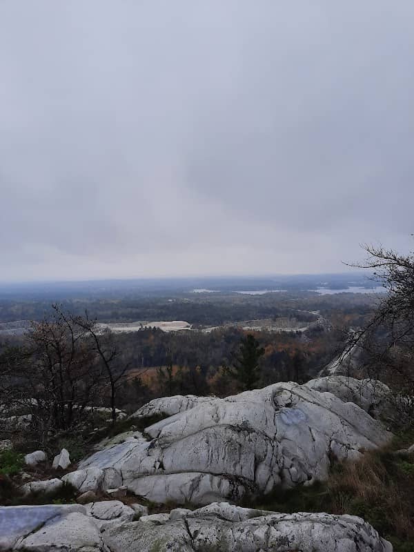 Willisville Lookout - Image 1