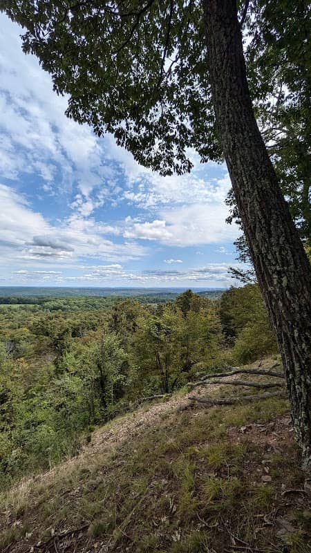 Chestnut Mountain Nature Preserve - Image 2