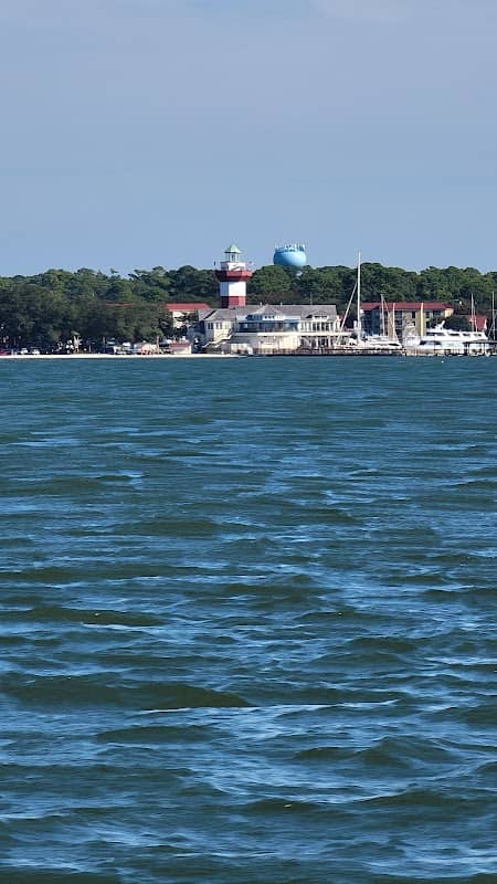 Hilton Head Island Dolphin Boat Cruise - Image 3