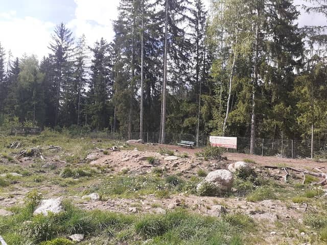 Hundezone Judenburg Murdorf - Image 1