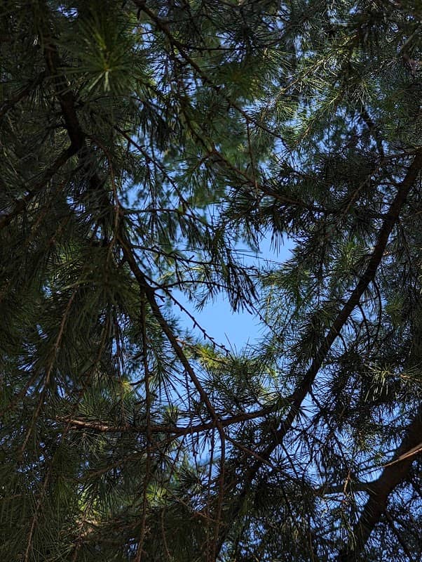 Parco giochi - Image 1