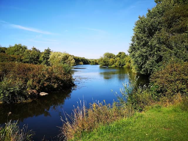 Bestwood Country Park - Mill Lakes - Image 2
