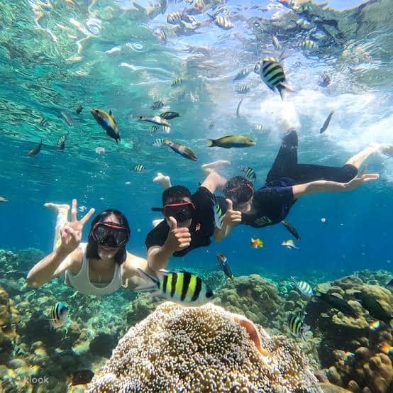 HARCIS GILI'S ACTIVITIES - Image 1