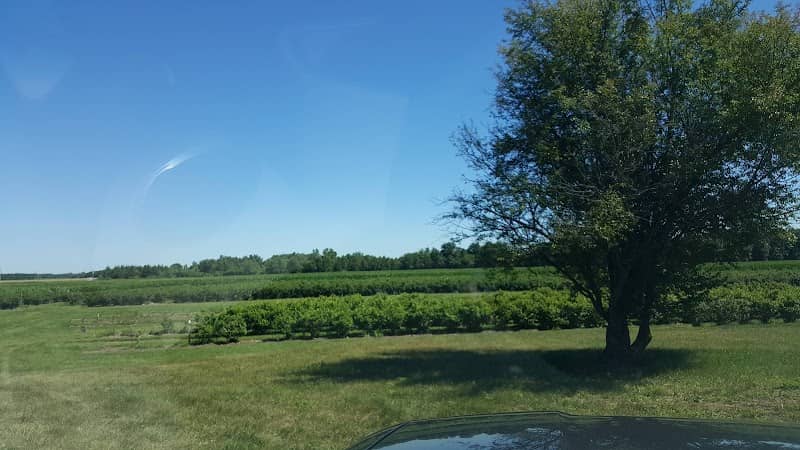 Fritts Berry Farm - Image 3