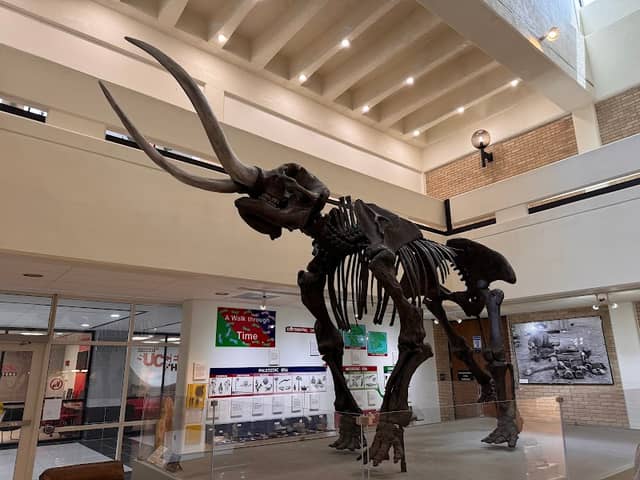 University Museum - Image 1