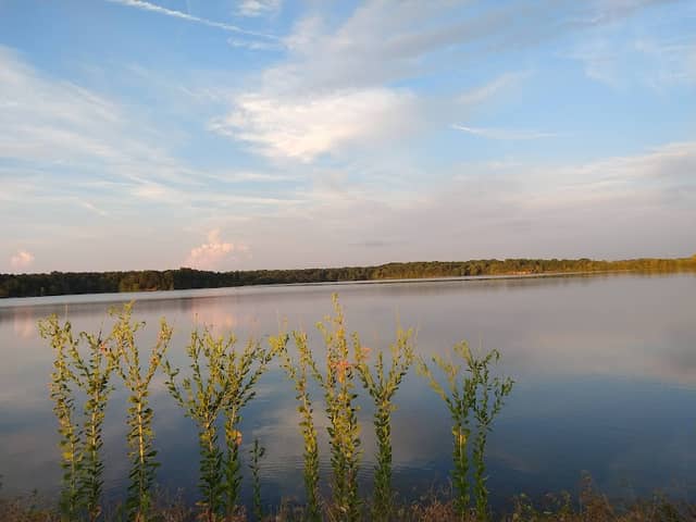 Crab Orchard National Wildlife Refuge - Image 1