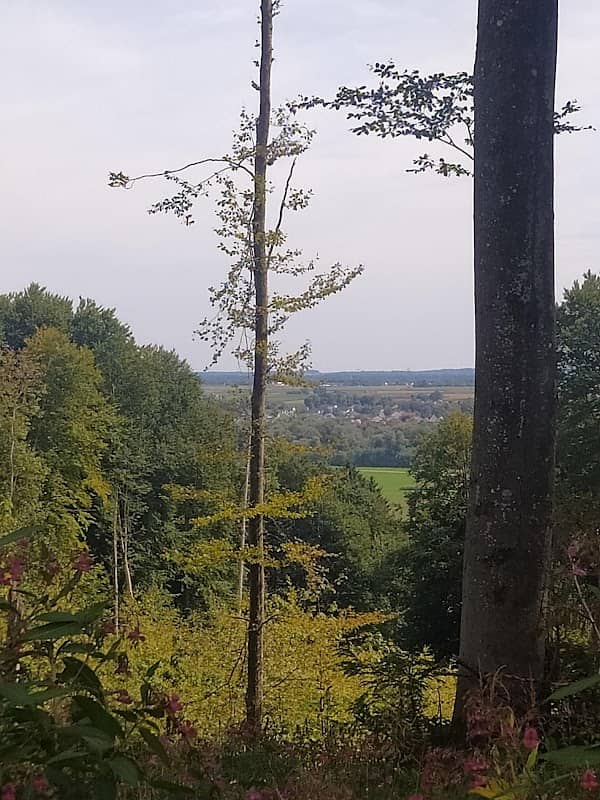 Aussichtspunkt mit Bank - Image 1