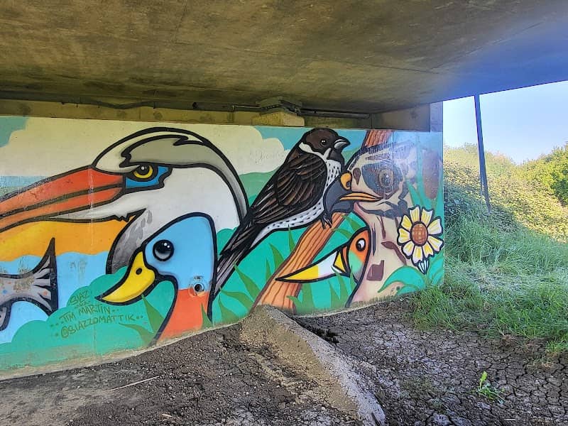 Tewkesbury Nature Reserve (South Access) - Image 2