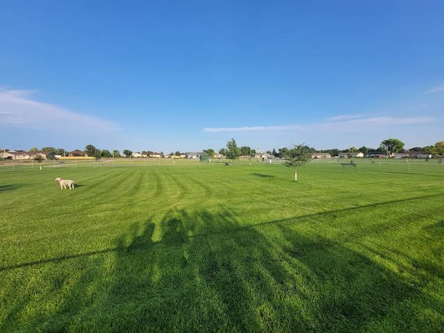 Anchor Memorial Park and Dog Park - Image 1