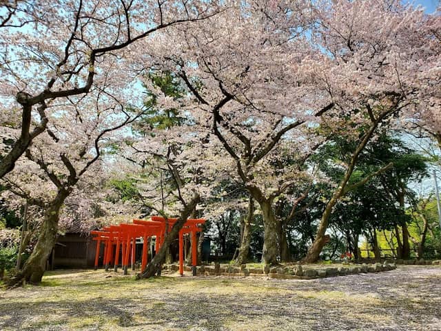Hashiriizan Park / Yada castle ruins - Image 2