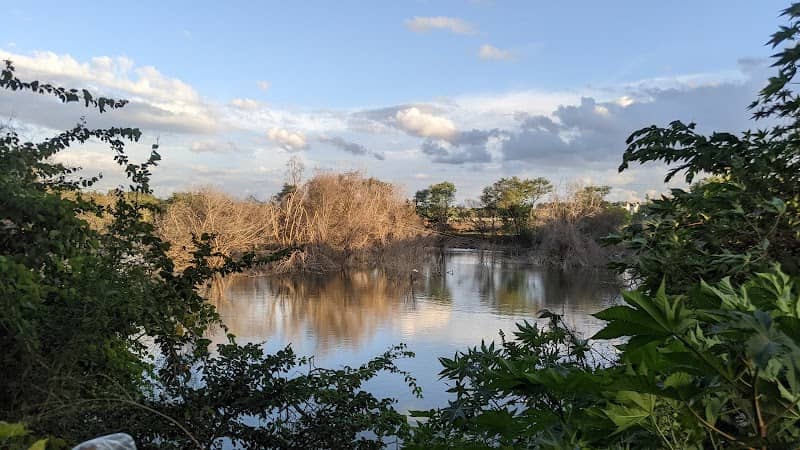 Lakshmisagara Lake - Image 2