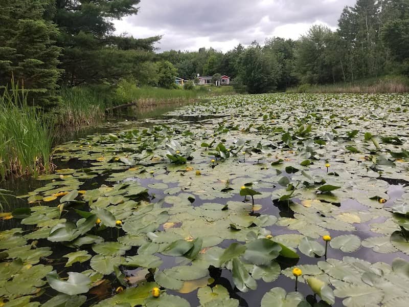 Parc des Montagnes - Image 2