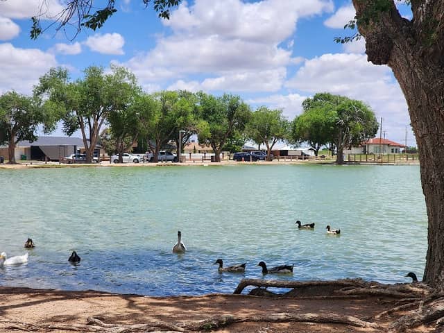 Chaparral Park - Image 2