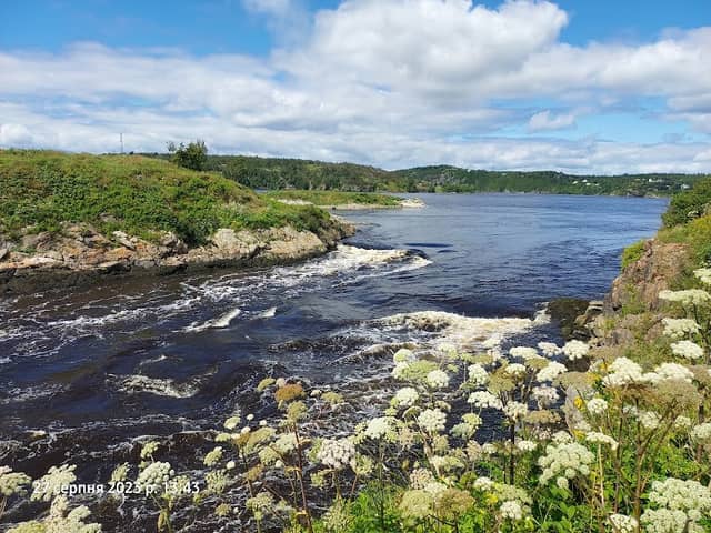 Reversing Falls - Image 2