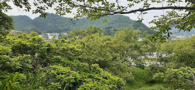 公園(円山川リバーサイドライン) - Image 1