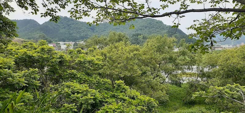 公園(円山川リバーサイドライン) - Image 1