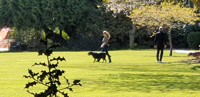 New Park - Image 1