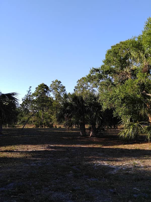 Oak View Park - Image 2