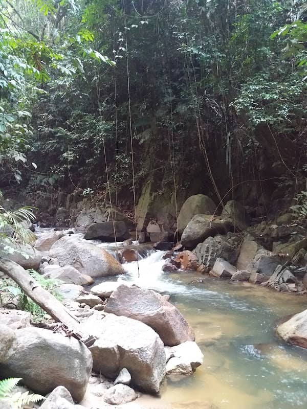 Kesyar Falls Eco Sanctuary - Image 1