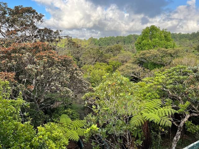 Monvert Nature Walk Observation Deck - Image 1