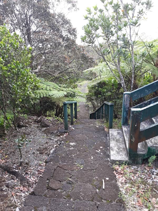 Monvert Nature Walk Observation Deck - Image 2