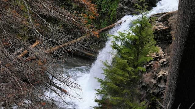 North Union Creek Falls Lower Tier - Image 1