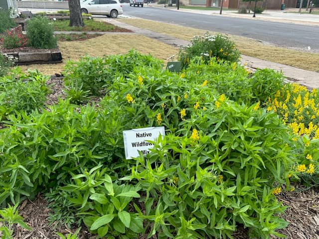 Demonstration Gardens - Image 1