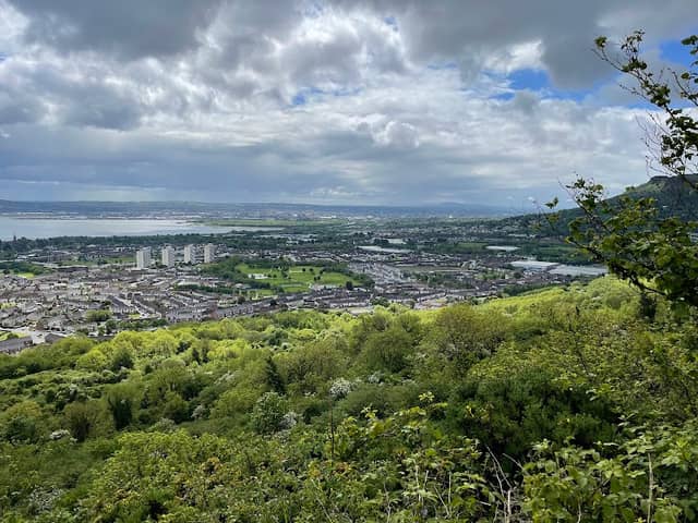 Carnmoney Hill Local Nature Reserve - Image 1