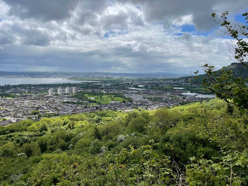 Carnmoney Hill Local Nature Reserve - Image 1