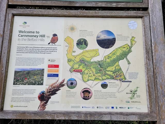 Carnmoney Hill Local Nature Reserve - Image 2