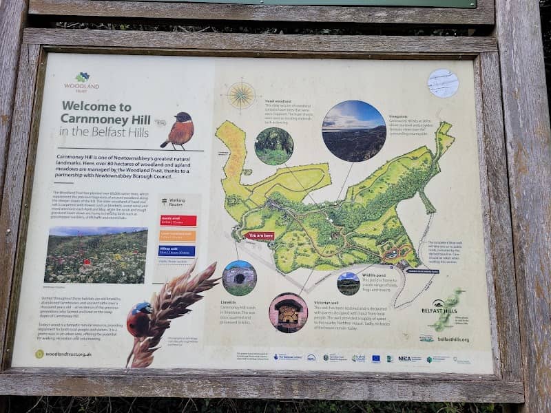 Carnmoney Hill Local Nature Reserve - Image 2