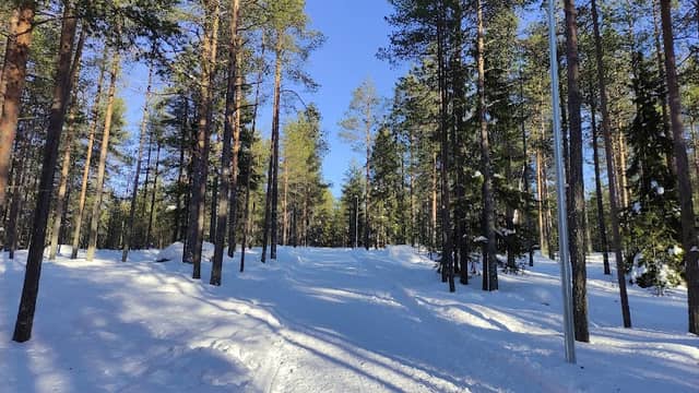Ounasvaara Winter Trail - Image 2