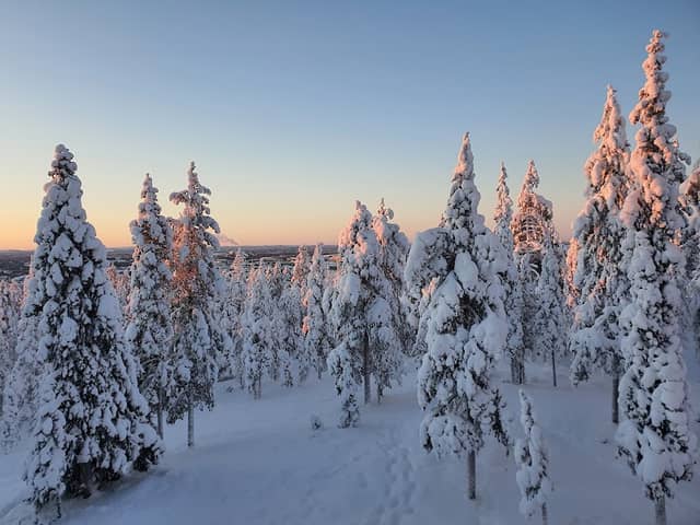 Ounasvaara Winter Trail - Image 3