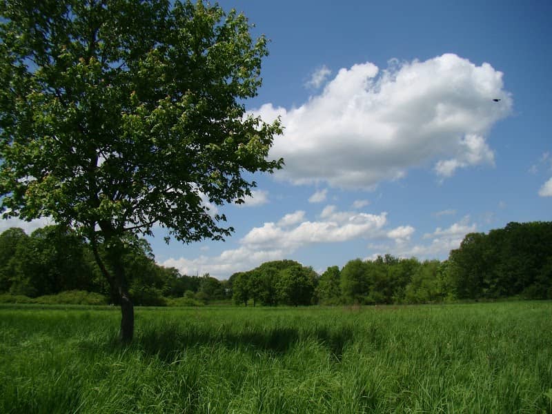 Anthony Lawrence Wildlife Preserve - Image 1