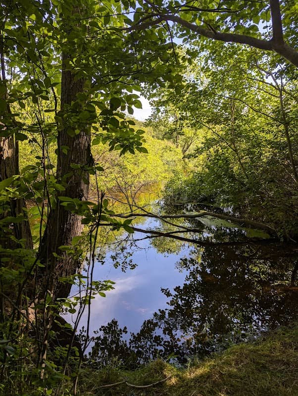Anthony Lawrence Wildlife Preserve - Image 2