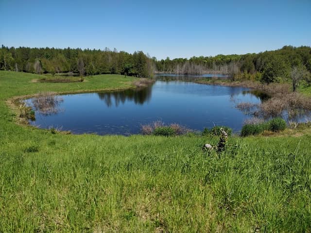 Kinghurst Nature Reserve - Image 2