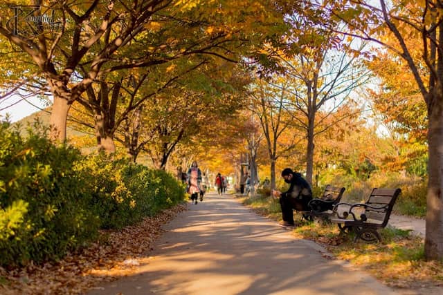 Gong-Won - Image 1