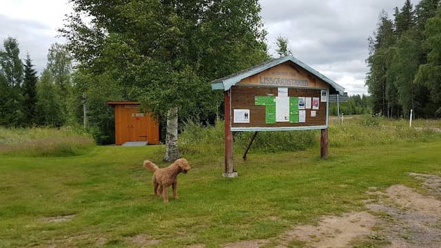 Nature Campsite Äppelbo - Image 1