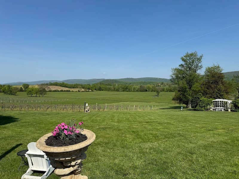 Veramar Vineyard - Image 2