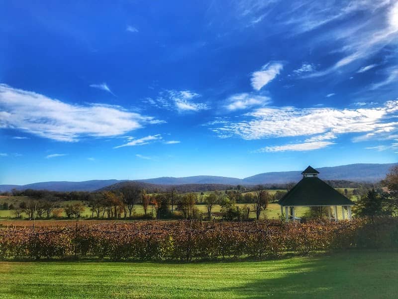 Veramar Vineyard - Image 1